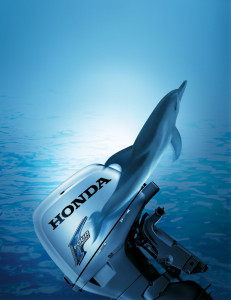 HONDA_BF50_-_Cover_dolphin